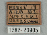 中文名:紅邊黃小灰蝶(1282-20905)