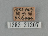 中文名:紅邊黃小灰蝶(1282-21207)