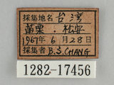 中文名:烏鴉鳳蝶(1282-1745...