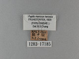 W:j(1282-17185)