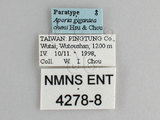 ǦW:Aporia gigantea cheni Hsu & Chou, 1999(4278-8)