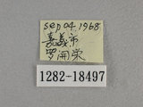 中文名:尖翅褐弄蝶(1282-184...