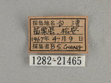 中文名:尖翅褐弄蝶(1282-214...
