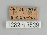 W:쯾潺(潺)(1282-17539)