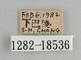 W:쯾潺(潺)(1282-18536)