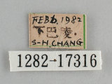 W:쯾潺(潺)(1282-17316)