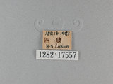 中文名:琉璃紋鳳蝶(1282-175...