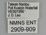 W:¾𽮽(˪Lǲ)(2909-909)