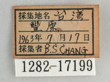 W:[潺(1282-17199)