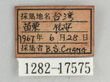 W:[潺(1282-17575)