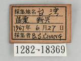 W:[潺(1282-18369)