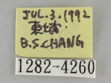 中文名:窄斑褐刺蛾、眉原褐刺蛾(1282-4260)