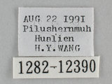 W:pظ(1282-12390)