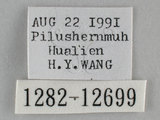 W:pظ(1282-12699)