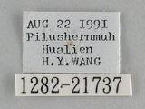 W:p(1282-21737)