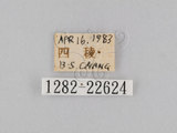 中文名:鉤翅赭蠶蛾(1282-226...