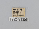 W:TiDؽ(Ti)(1282-21356)