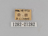 W:TiDؽ(Ti)(1282-21282)