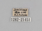 W:TiDؽ(Ti)(1282-21451)