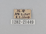 W:TiDؽ(Ti)(1282-21449)