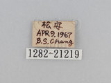 W:TiDؽ(Ti)(1282-21219)
