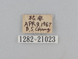 W:TiDؽ(Ti)(1282-21023)