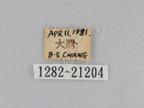 W:TiDؽ(Ti)(1282-21204)