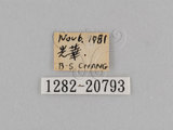 W:TiDؽ(Ti)(1282-20793)