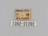 W:TiDؽ(Ti)(1282-21292)