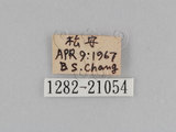 W:TiDؽ(Ti)(1282-21054)