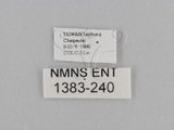 W:TiDؽ(Ti)(1383-240)