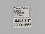 W:TiDؽ(Ti)(2909-1565)
