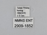 W:TiDؽ(Ti)(2909-1852)