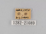 W:piDؽ(pi)(1282-21089)