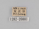 W:piDؽ(pi)(1282-20881)