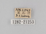 W:piDؽ(pi)(1282-21253)