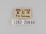 W:piDؽ(pi)(1282-20840)
