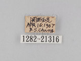 W:piDؽ(pi)(1282-21316)