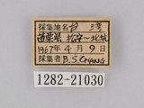W:piDؽ(pi)(1282-21030)