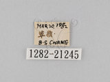 W:piDؽ(pi)(1282-21245)