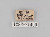 W:piDؽ(pi)(1282-21499)