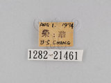 W:piDؽ(pi)(1282-21461)