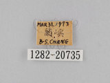 W:piDؽ(pi)(1282-20735)