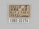 W:piDؽ(pi)(1282-21174)