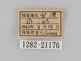 W:piDؽ(pi)(1282-21176)