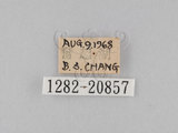 W:piDؽ(pi)(1282-20857)