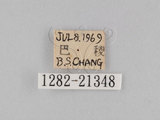 W:piDؽ(pi)(1282-21348)