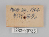 W:piDؽ(pi)(1282-20736)