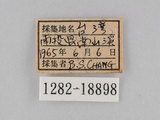 W:piDؽ(pi)(1282-18898)