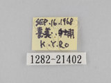 W:piDؽ(pi)(1282-21402)